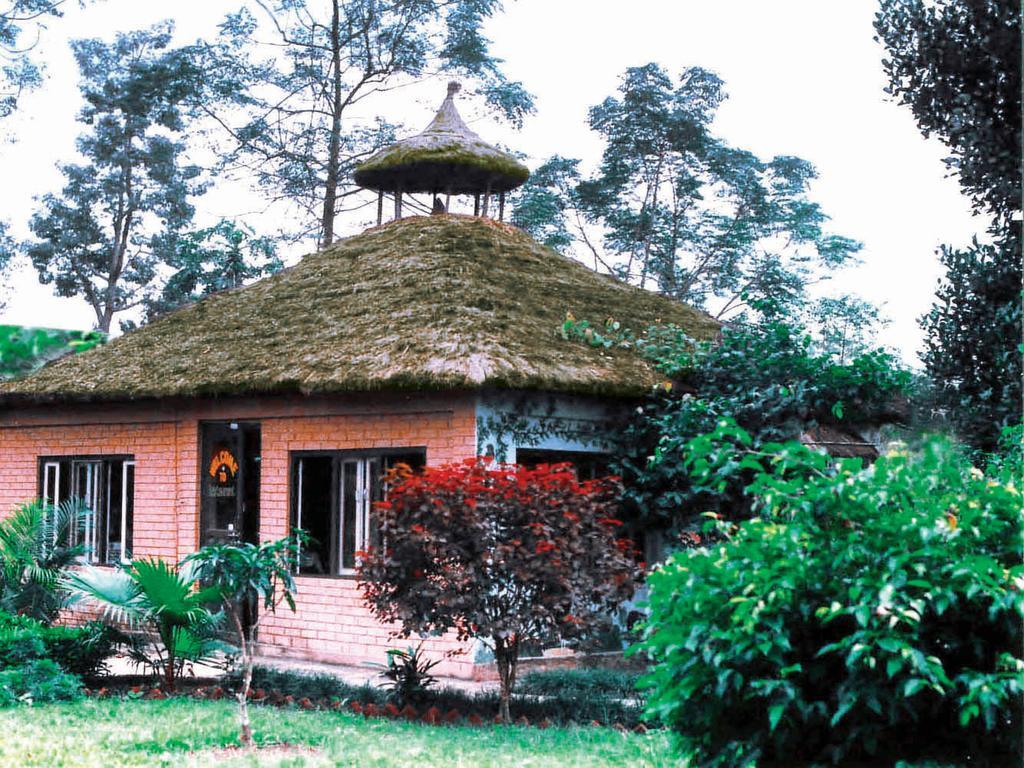 Rainbow Safari Resort Sauraha Exterior foto