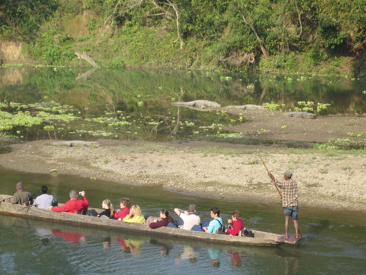 Rainbow Safari Resort Sauraha Exterior foto