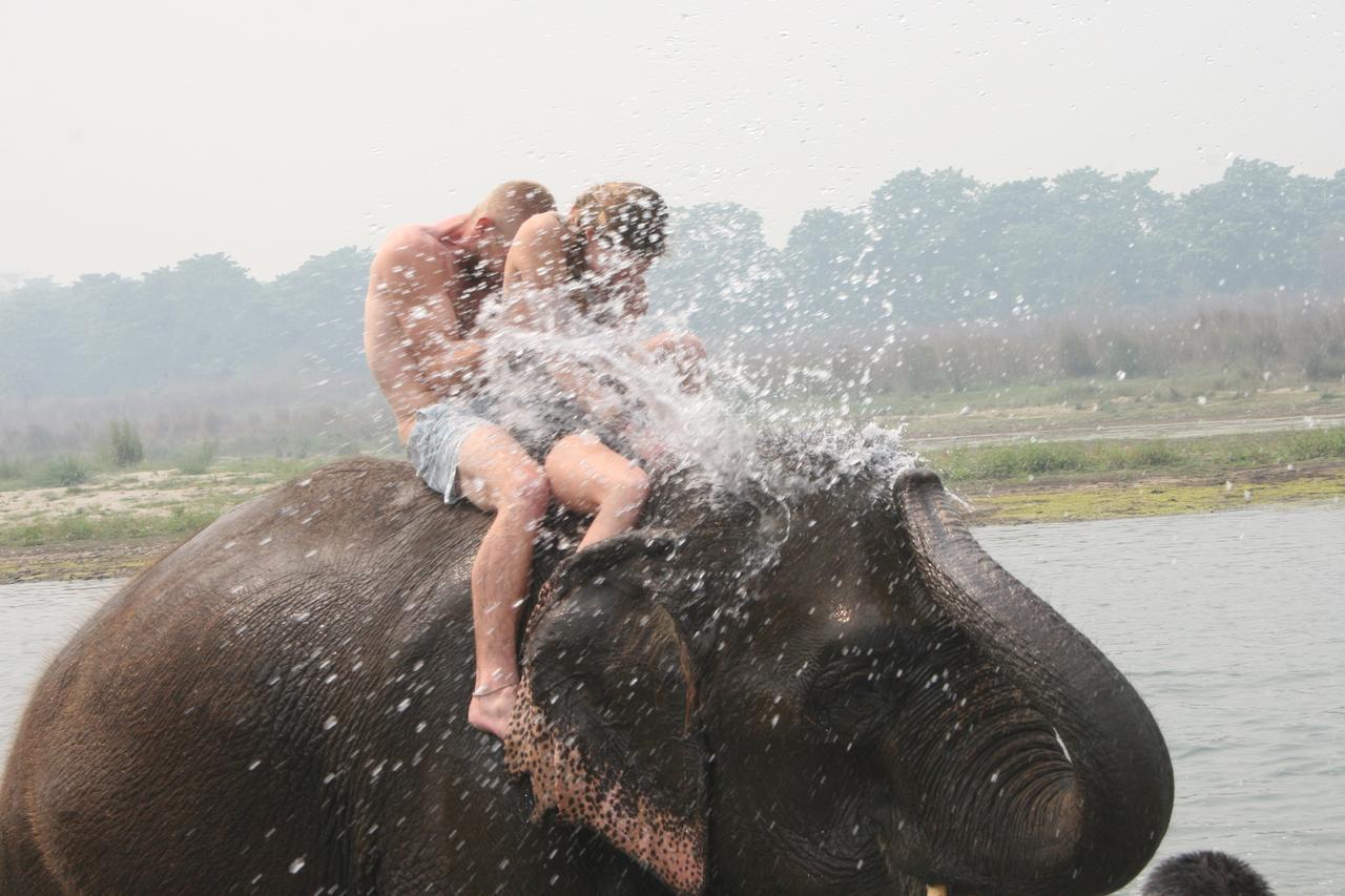 Rainbow Safari Resort Sauraha Exterior foto