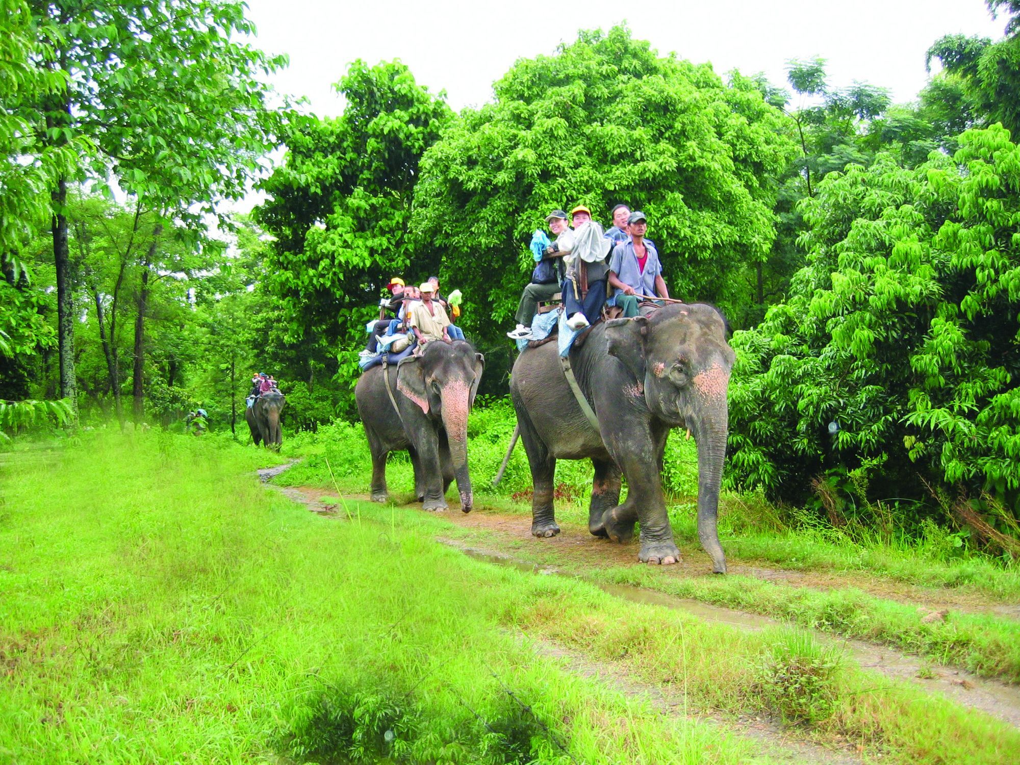 Rainbow Safari Resort Sauraha Exterior foto