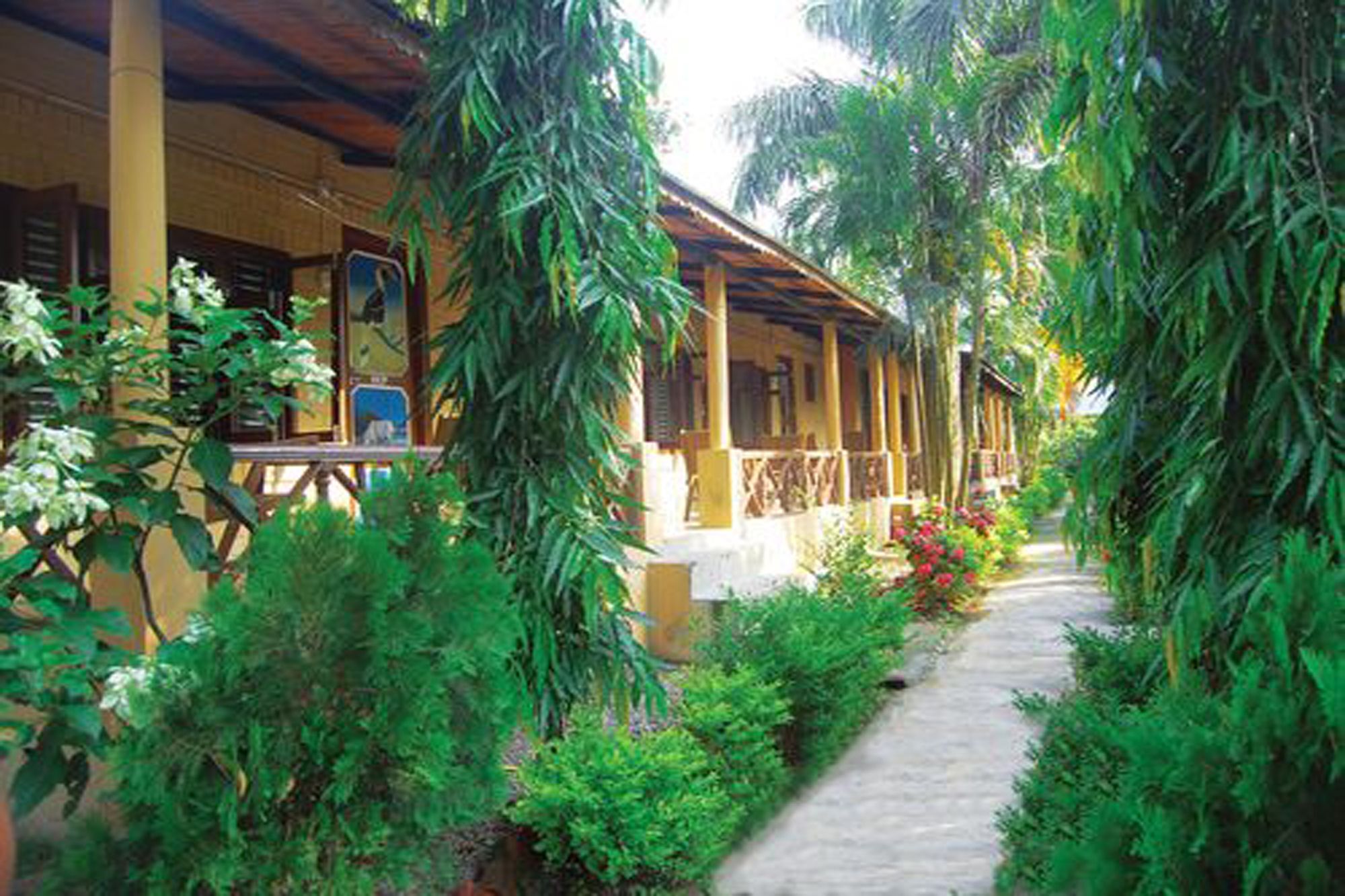 Rainbow Safari Resort Sauraha Exterior foto